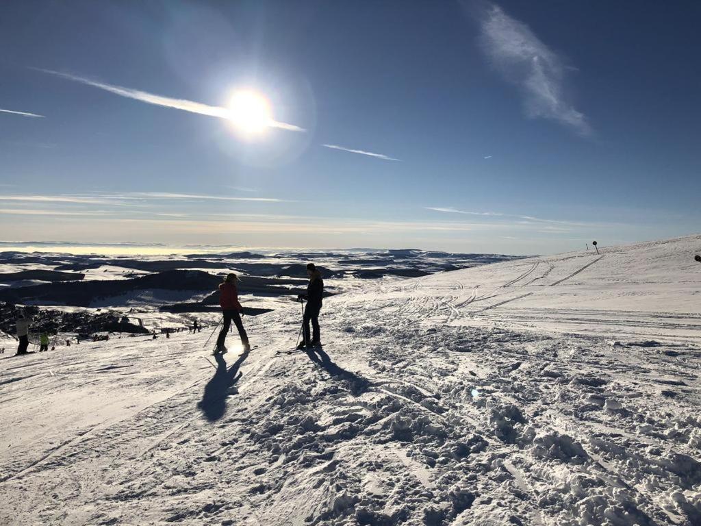 Résidence Le mont Dore 2 étoiles Esterno foto